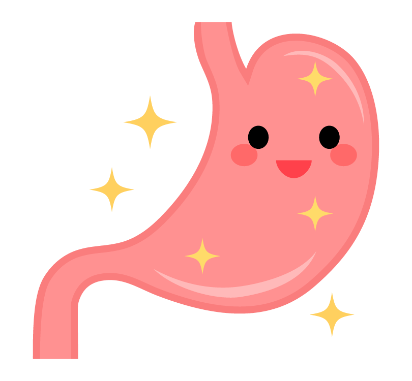 胃を整える漢方～大切な胃を守るためにも知っておきたい～