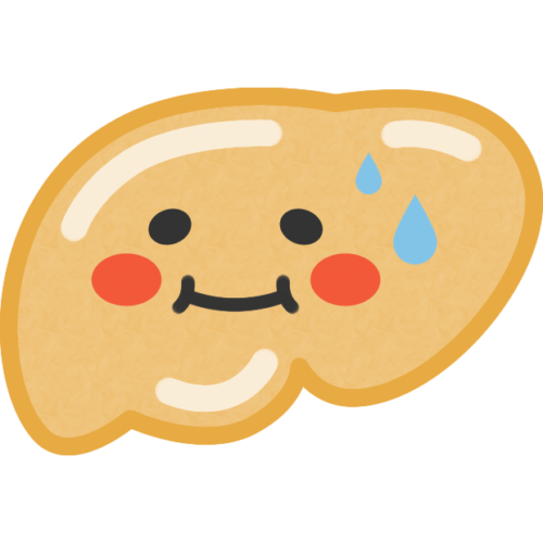 健康新聞11月　更年期以降の脂肪肝について